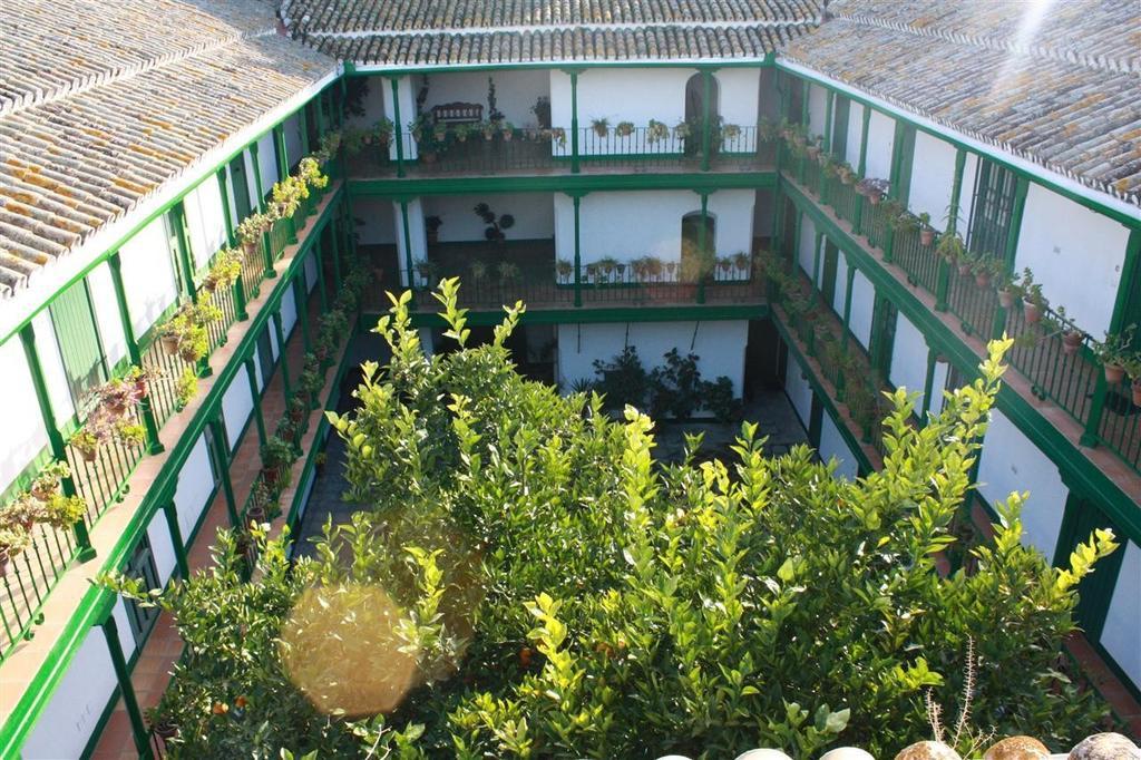 Apartment Corral Coliseo *