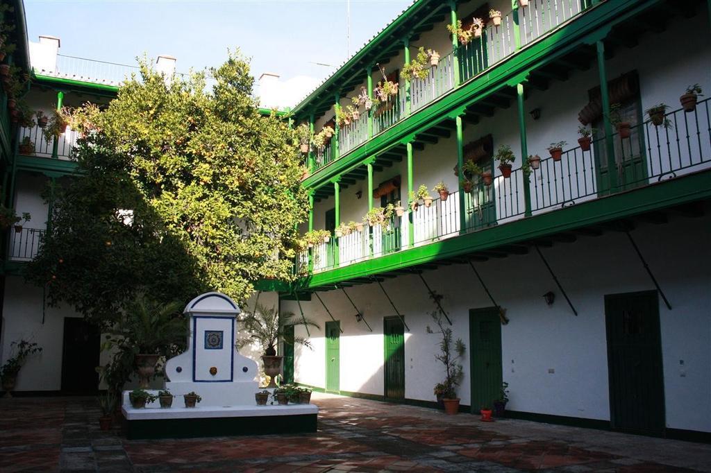 Corral Coliseo Apartment *